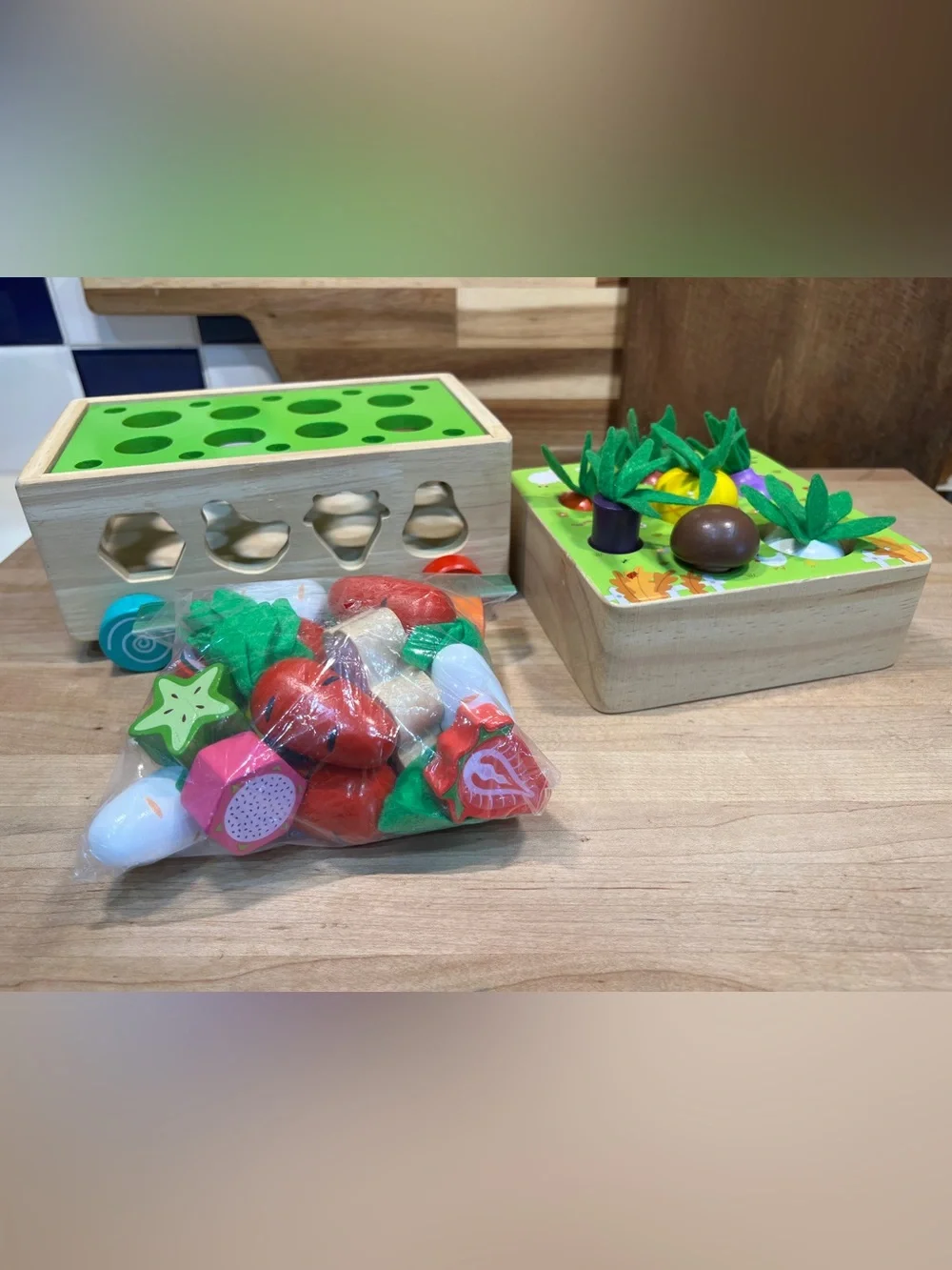 Wooden Garden Kids Toy Sorting and Play Set